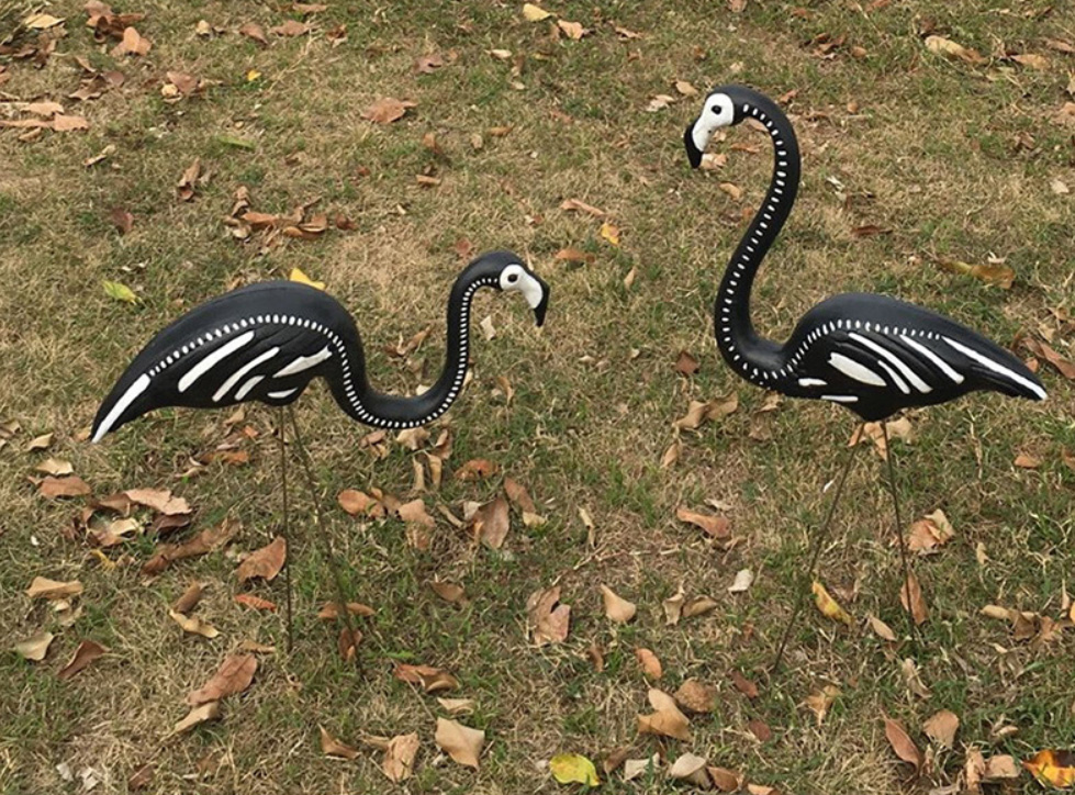 Back Flamingo.jpg