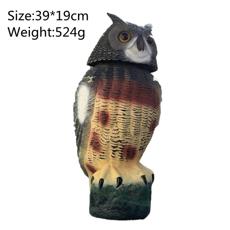 owl-6.jpg