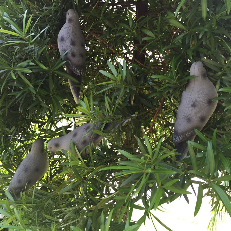 Turtledove.jpg