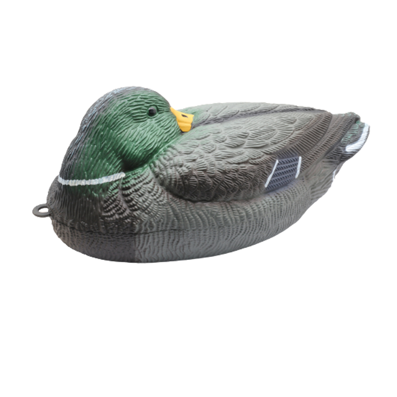 duck2.jpg